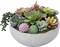 8-Inch Round Modern Artificial Succulent Arrangement in Gray Concrete Bowl – Assorted Faux Mini Succulents Displayed in a Stylish Decorative Planter Pot